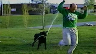 Dog Steals Hose and Sprays Owner
