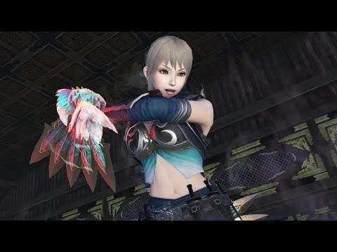 Warriors Orochi 4 - Zhuge Dan/Wang Yuanji/No Unique Weapon Guide