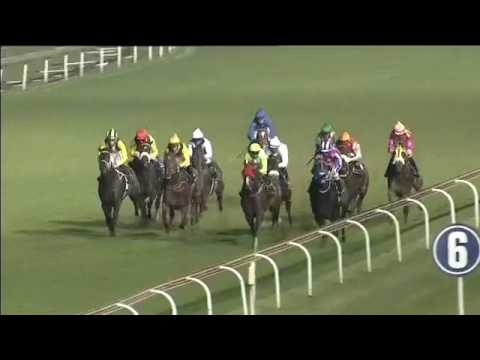 2017.05.06 Camellia Stakes (RSA) - Joan Ranger