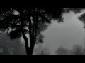 Cigarettes Out The Window TV Girl 8D Audio