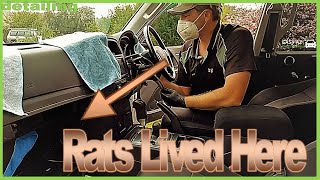 How I cleaned up rat and mice poo out of a smelly car