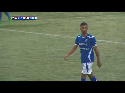 Samenvatting GVVV - IJsselmeervogels