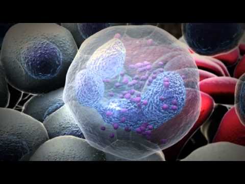 Pegylated R-Human Granulocyte Colony Stimulating Factor Injection