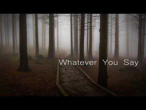 In Situ feat. Anja Crafoord - Whatever You Say
