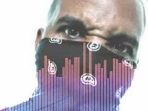 The Game Invisible Felon