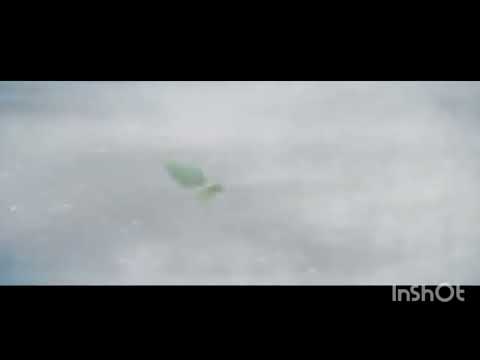 Volar - Lin Cortés - musicoflovestory