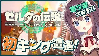 【ゼルダの伝説ティアーズオブザキングダム】初キンググリオーク遭遇～探索！寄り道大好き【ティアキン 女性実況 Vtuber なちゅモカ TotK ライブ配信】#51