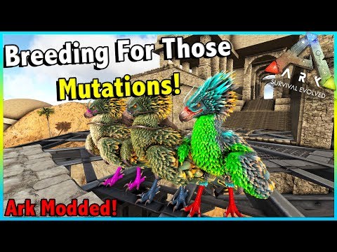 MAX LEVEL PHOENIX TAME + BREEDING FOR AMAZING COLOUR MUTATIONS!! || ARK MODDED EP 32!