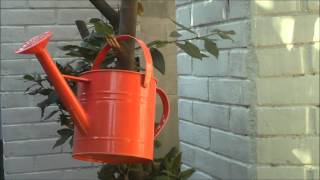 Pat Metheny & Charlie Haden (Spiritual)   パット・メセニー＆チャーリー・ヘイデン（スピリチュアル）