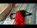 Tickle Me Elmo