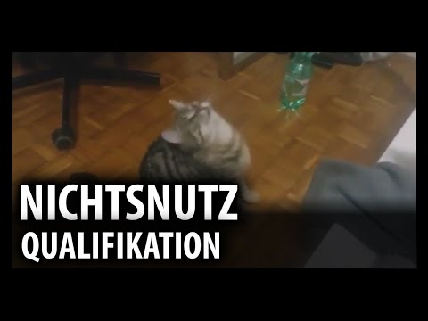 nichtsnutz ll ATB 2017 - Qualifikation #34
