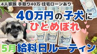 【5月給料日ルーティン】犬が欲しい！赤字家計の主婦が考える飼うための最低条件