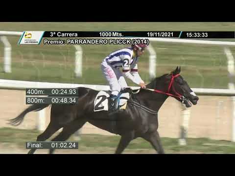 211119 c03 - SPLASH - HIPODROMO LAS PIEDRAS