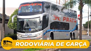 Movimento na RODOVIÁRIA de GARÇA! #onibus #brasil