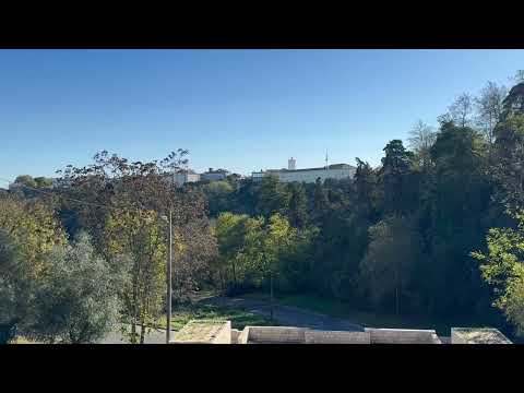 Welcome: A Quiet After-Lunch Walk Through Santarém