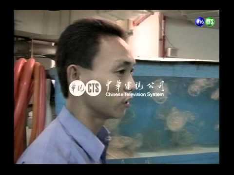 屏東海生館人工育水母終成功