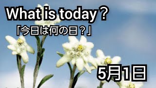 【What is today?】今日は何の日?(0501)|YouTube掲示板《ヒントストック》