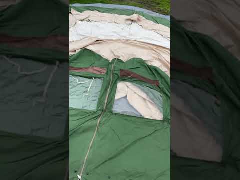 De Waard Albatros - 021220