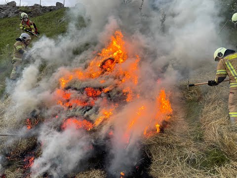 08.06.2022 - Übung Bodenbrandbekämpfung