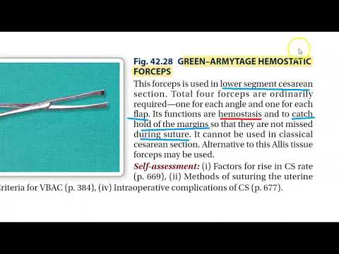 Stainless Steel Forceps - Stainless Steel Tissue Forceps Latest Price ...