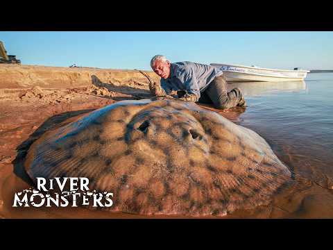Kæmpe ferskvandsrokke med River Monsters