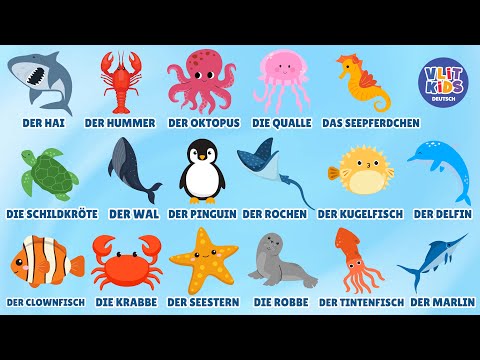 Meerestiere für Kinder 🐠 Deutsch lernen: Hai, Wal, Delfin & mehr! | Für Kleinkinder