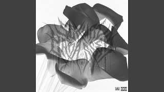 Kimi no Sweet Reimagined