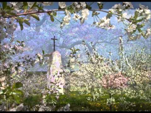 Sad Wolna Grupa Bukowina