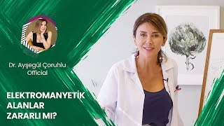 Elektromanyetik Alanlar Zararlı Mı?  AÇ