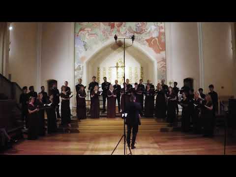 The Beatitudes (Paul Mealor) - Sofia Vokalensemble