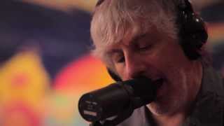 Lee Ranaldo and the Dust  -  Ambulancer  ( Buzzsession)