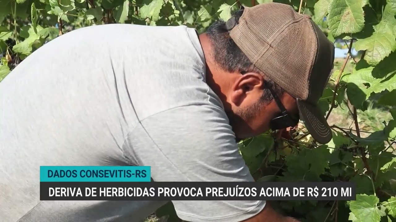 Deriva de herbicidas causa prejuízos de R$ 210 milhões e exige aplicação eficiente