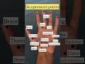 Acupressure Points In Hand