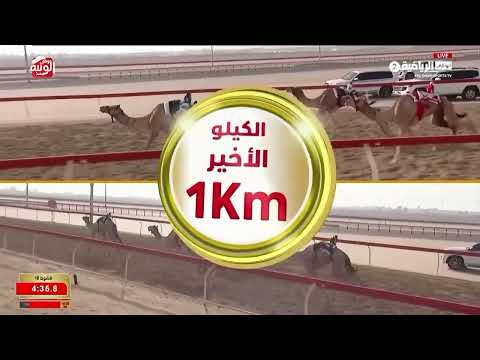 ش 18 (مياس) لـ سالم يحيى بن عبدالله المنهالي 6:14:02 ، شارة الديوان 2026/9/12 لقايا الوثبة