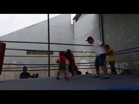Box dale fuerte hijo