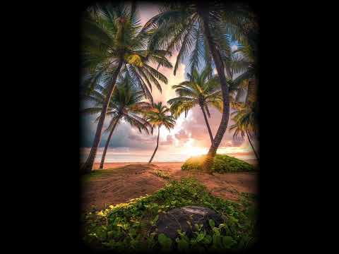 NBF Jr - Peace of Mind