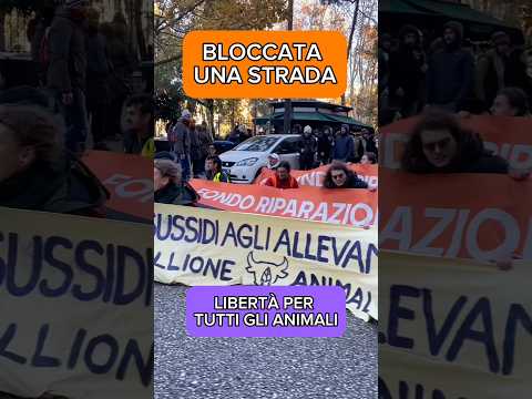 Riuscite a sentirla😂 #viral #cars #viralvideos #memes #mariasofia #sound #fyp #lamborghini  #shorts