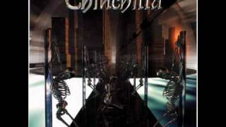 Chinchilla: Heavy Metal