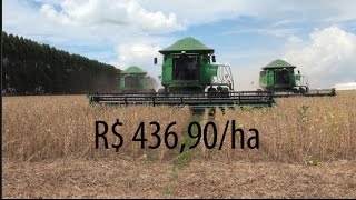Miniatura do vídeo