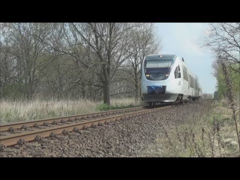 Die Heidekrautbahn am Bahnübergang [FULL HD]