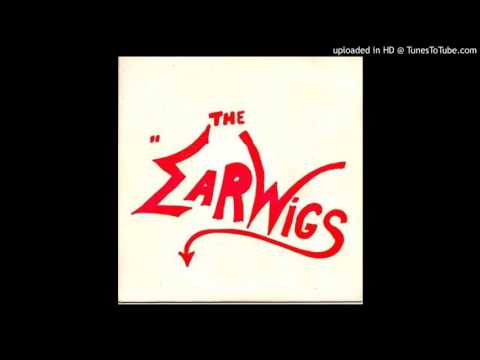 The earwigs - Call on me