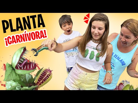 24 HORAS alimentando a la PLANTA CARNÍVORA con ¡AVISPAS PELIGROSAS!