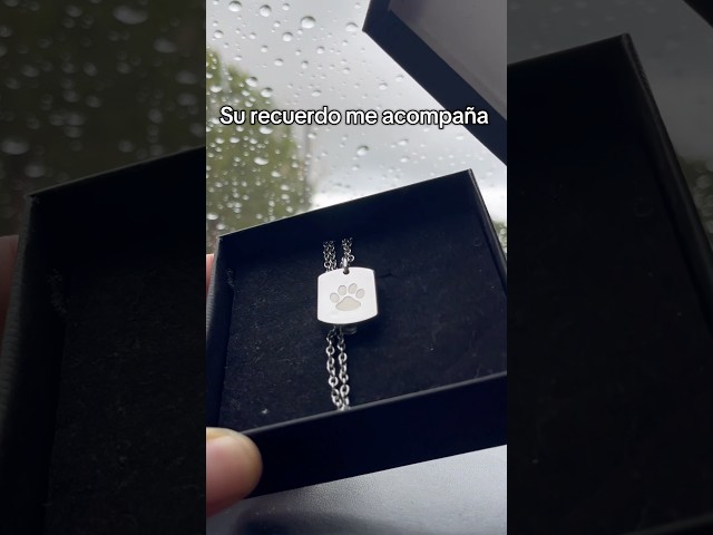 Vídeo relacionado con Davaco Collar Urna para Cenizas Árbol de la Vida Colgante Memorial Unisex Acero Inoxidable con Cadena Rope Plata de Ley 925 Regalo Recuerdo