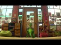 Toy Story 3 Blu Ray Trailer