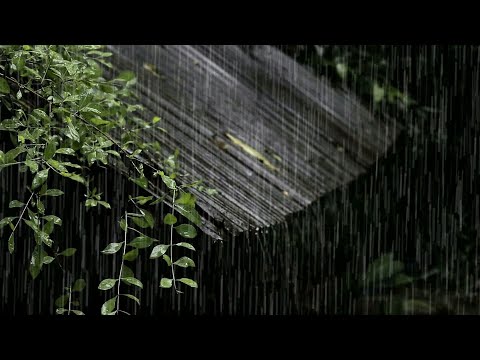 Tunog Ng Patak Ng Ulan Sa Bubong | Soothing Sound Of Heavy Rain On A Tin Roof