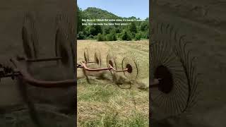 How to make hay bales in 3 simple steps! #shorts #hay #agriculture #tractor #farming