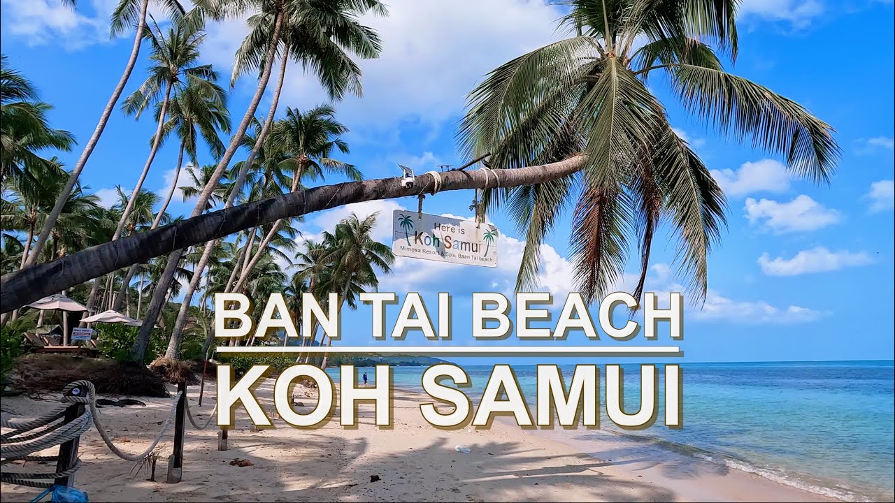 Get swept away on a mesmerizing virtual adventure to Ban Tai Beach.