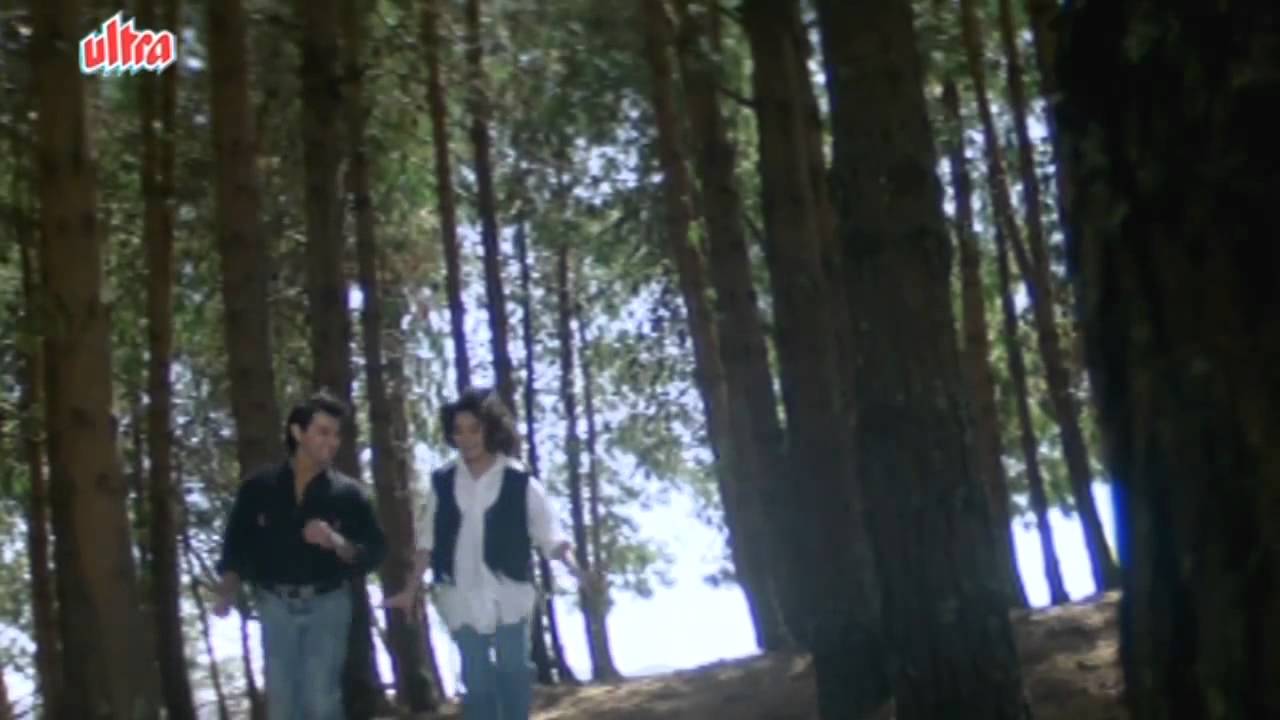 Kisi Din Banoongi Lyrics  | Raja | Madhuri Dixit, Sanjay Kapoor | Alka Yagnik, Udit Narayan | Nadeem Saifi, Shravan Rathod