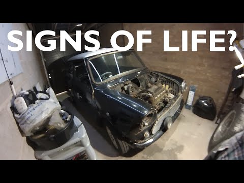 Classic Mini Restoration -  a glimmer of life?? 😉