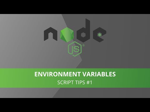 How to use Environment Variables in Node JS